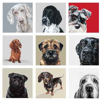 contemporary dog portraits, modern pet art and dog paintings