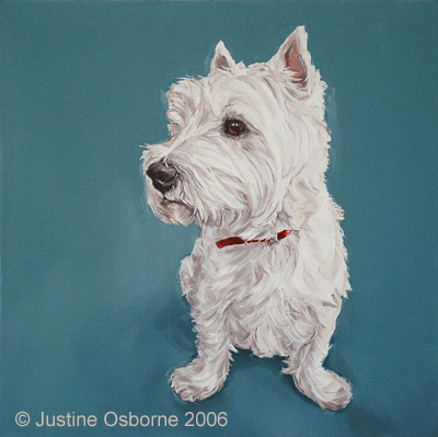 west highland terrier portrait
