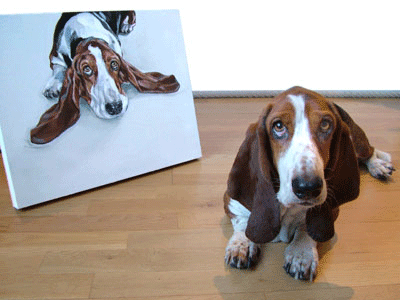 dog portrait painting basset hound 