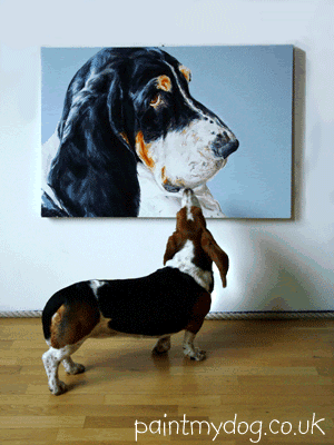 modern gallery style dog portrait art