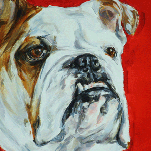 bulldog art portrait