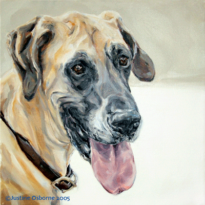 dog painting portrait of a great dane