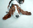 basset dog painting