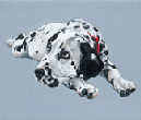 dalmatian pup portrait