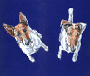 fox terriers picture