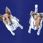 fox terriers portrait