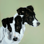 terriers dog portrait