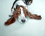 basset hound dog paintings